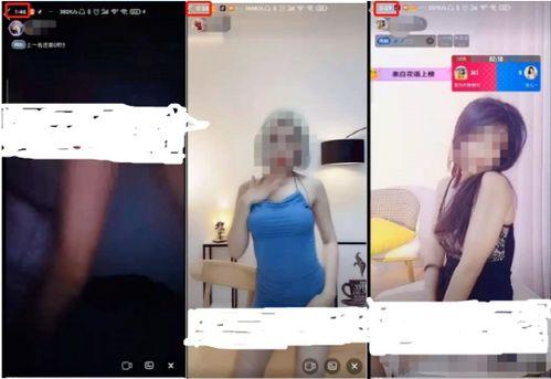成人直播,现象背后的社会与文化影响