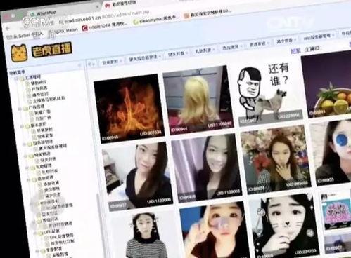 成人直播,现象背后的社会与文化影响